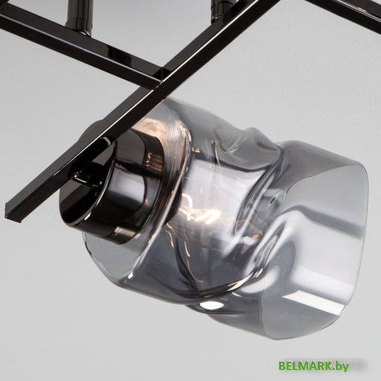 Припотолочная люстра Евросвет Hilari 30165/6 (Черный жемчуг) - фото2