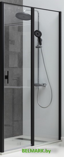 Душевая дверь Allen Brau Priority 3.31009.BBA - фото