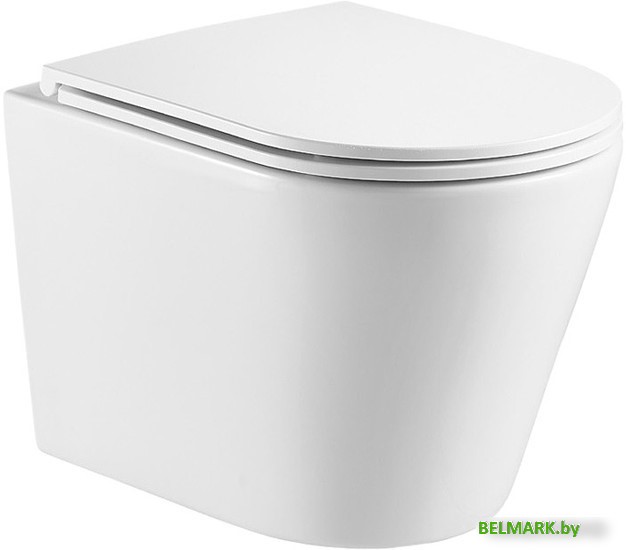 Унитаз подвесной WeltWasser Salzbach 043 GL-WT (белый глянцевый) - фото
