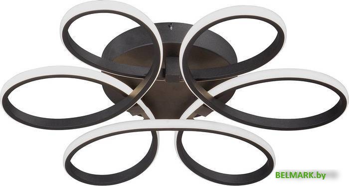 Припотолочная люстра Vitaluce V04618 V04618-13/6PL - фото