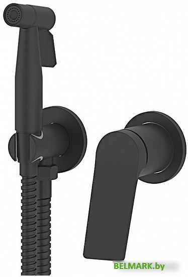 Гигиенический душ Vieir V343553-C - фото