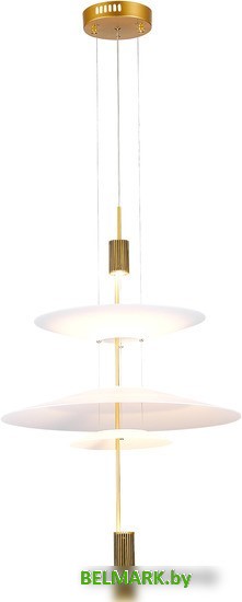 Подвесная люстра ST Luce Isola SL6101.213.01 - фото