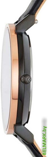 Наручные часы Skagen SKW2490 - фото2