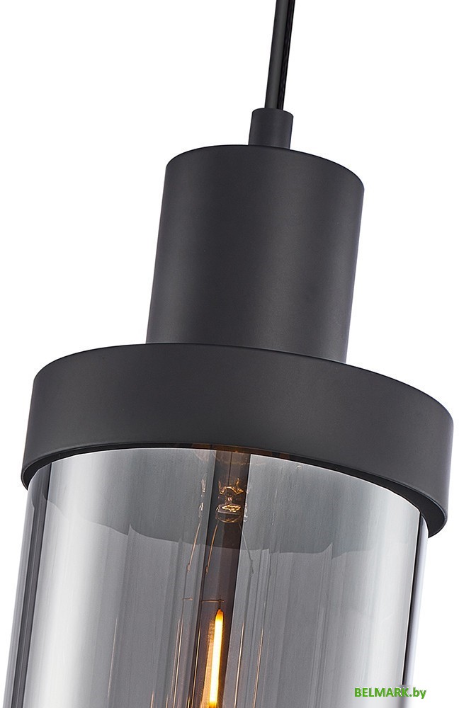 Подвесная люстра F-Promo 4364-1P - фото2