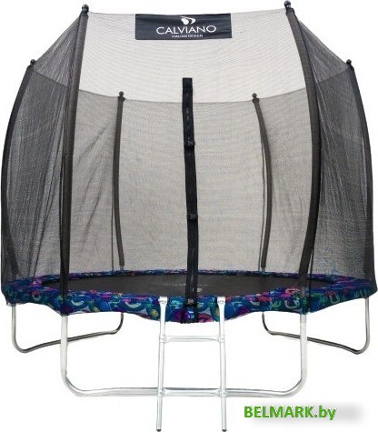 Батут Calviano Outside Master Smile 252 см - 8ft (внешняя сетка, с лестницей) - фото