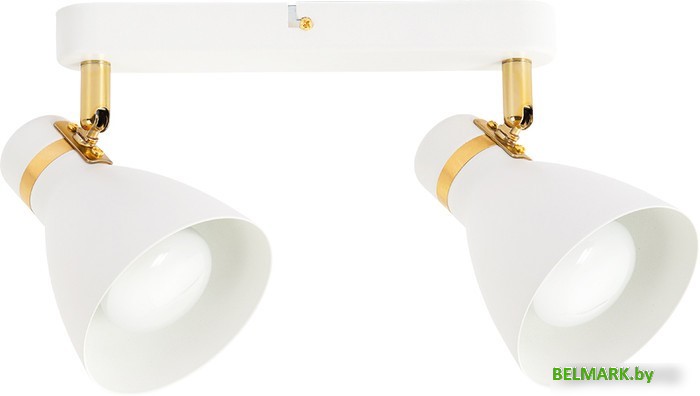 Спот Arte Lamp Fafnir A5047PL-2WH - фото