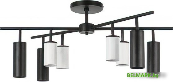 Люстра средней высоты Lightstar Rullo LR728364874 - фото