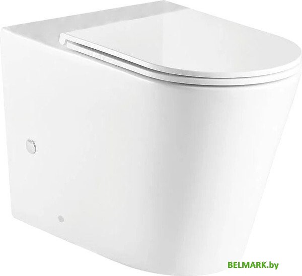 Унитаз напольный WeltWasser WW Salzbach 001 XL GL-WT (белый глянец чаша) - фото