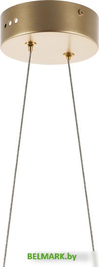 Припотолочная люстра Lightstar Varese 731303 - фото2