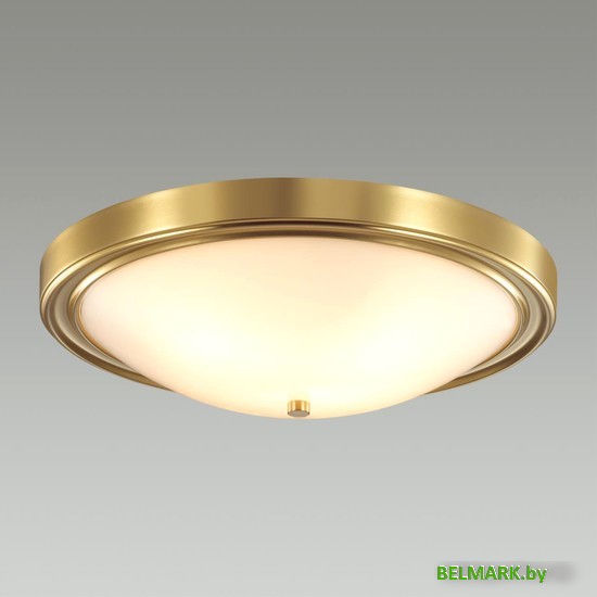 Припотолочная люстра Lumion Nina 5259/4C - фото2