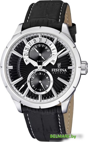 Наручные часы Festina Men's Analogue Watch (F16573/3) - фото