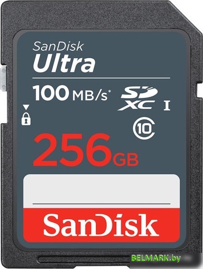 Карта памяти SanDisk Ultra SDXC SDSDUNR-256G-GN3IN 256GB - фото