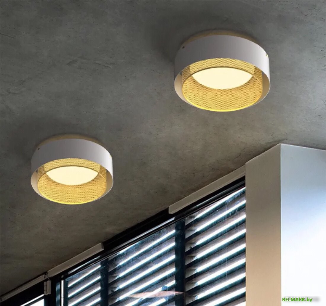 Припотолочная люстра ImperiumLoft Casing-C01 189558-26 - фото2