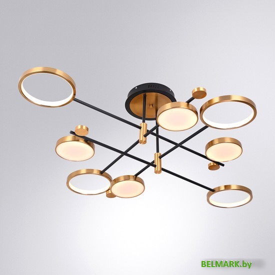 Люстра средней высоты Arte Lamp Holly A1364PL-8PB - фото2