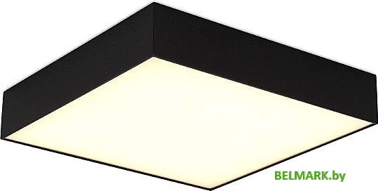 Припотолочная люстра ST Luce ST608.442.96 - фото