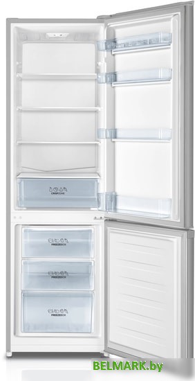 Холодильник Gorenje RK4181PS4 - фото2