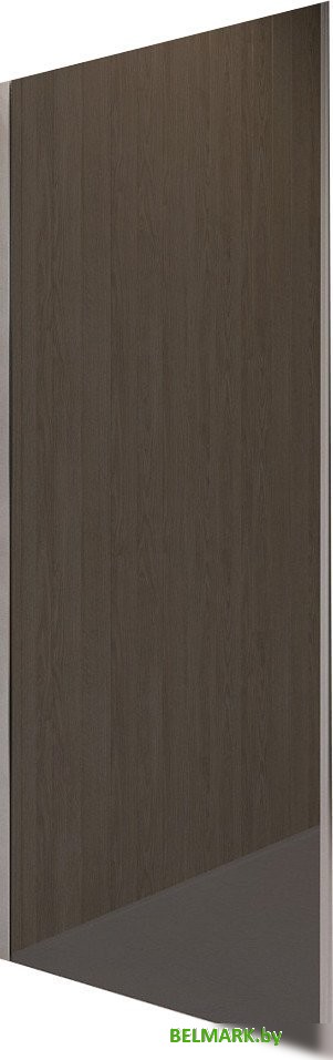 Душевая стенка RGW Z-03 06220308-31 - фото