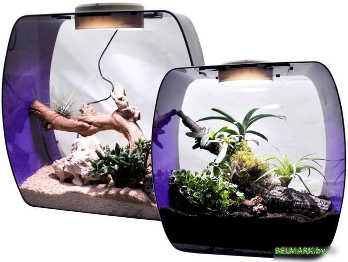 Террариум Lucky Reptile Life Box LB-35P (фиолетовый) - фото2