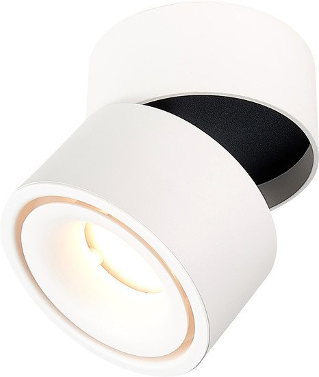 Припотолочная люстра ST Luce ST652 ST652.532.12 - фото