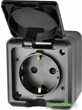 Розетка Tokov Electric Dita TKL-DT-R1Z-C14-IP54 - фото