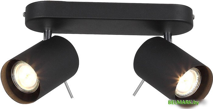 Спот ST Luce Fanale SL597.401.02 - фото