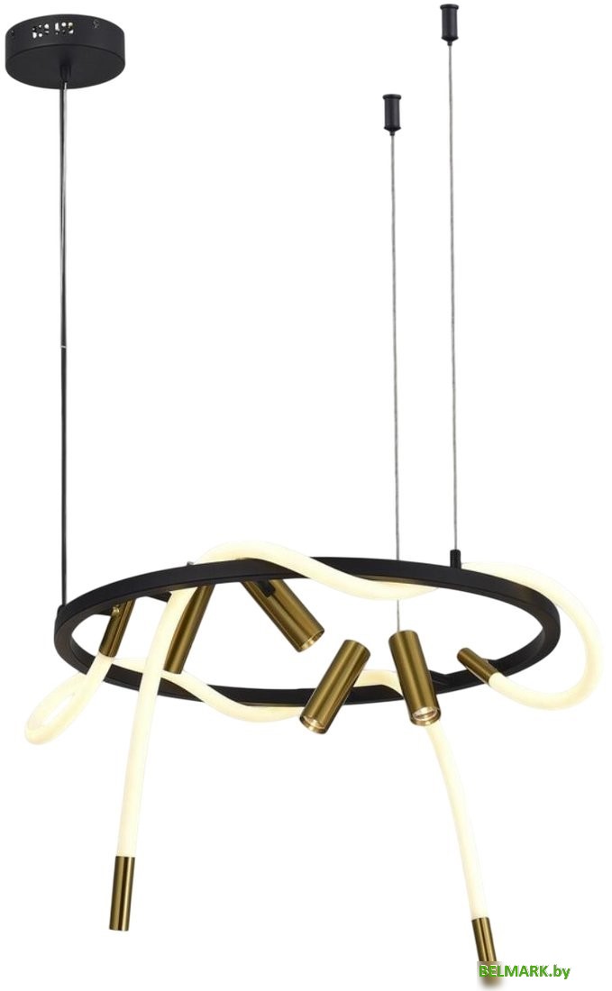 Подвесная люстра Aployt APL.066.03.45 - фото