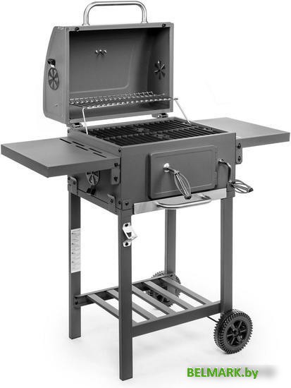 Гриль Activa 11247C - фото