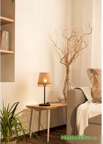 Настольная лампа Eglo Tabley 43977 - фото2