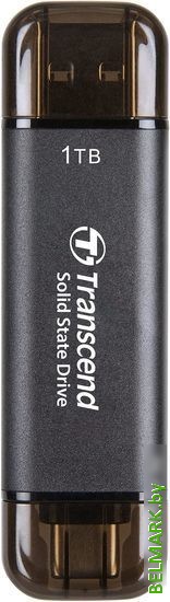 Внешний накопитель Transcend ESD310 1TB TS1TESD310C - фото