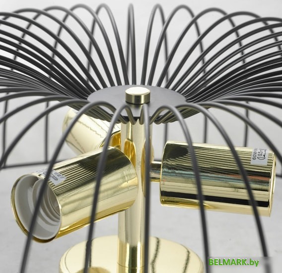 Припотолочная люстра Lussole Loft Brooks LSP-8251 - фото2