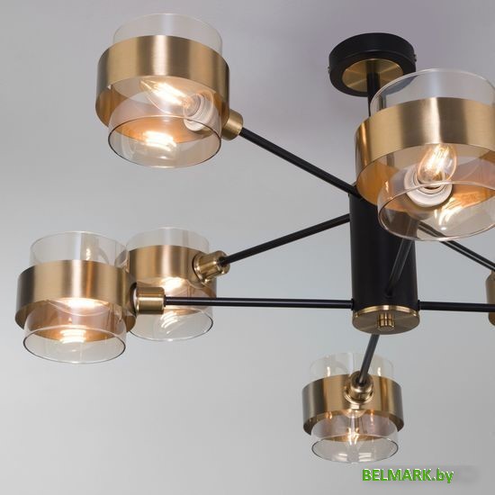 Люстра средней высоты Евросвет 70127/8 (черный) - фото2