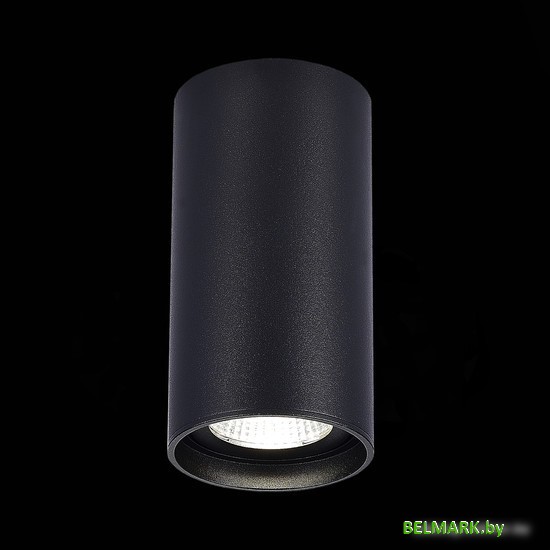 Спот ST Luce ST157.442.15 - фото2