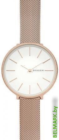 Наручные часы Skagen SKW2726 - фото