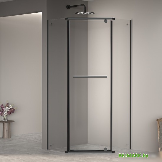 Душевой уголок RGW PA-82B 41088288-14 80x80 (черный/прозрачное стекло) - фото