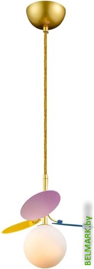 Подвесная люстра LOFT IT Matisse 10008/1P mult - фото