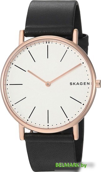 Наручные часы Skagen SKW6430 - фото2