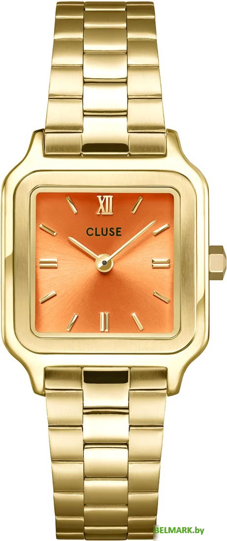 Наручные часы Cluse CW11807 - фото