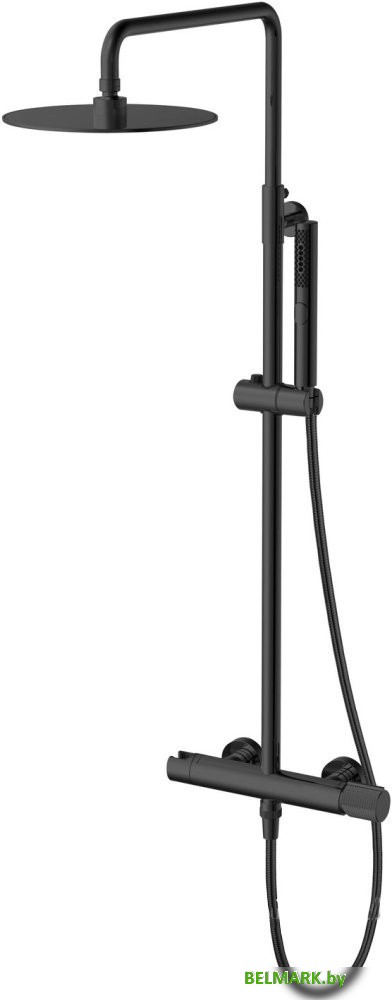 Душевая система Allen Brau Liberty 5.33007-31 - фото