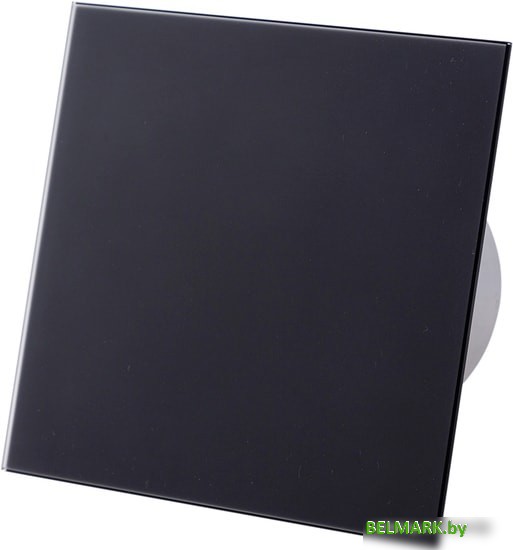 Вытяжной вентилятор Awenta System+ Turbo 100CTR [KWT100CTR-PTGB100M] - фото