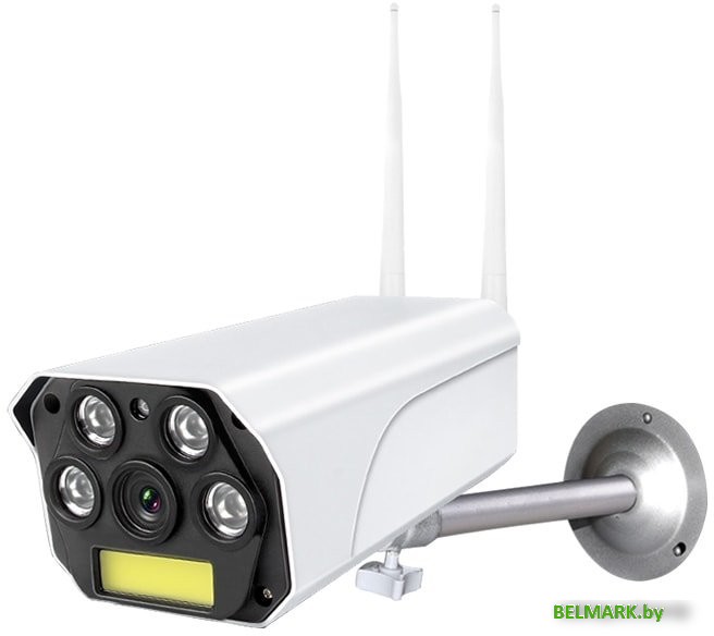 IP-камера Ritmix IPC-270S - фото