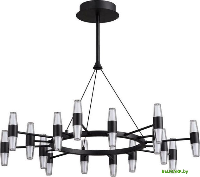 Подвесная люстра Aployt APL.865.03.96 - фото