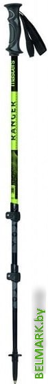 Треккинговые палки Masters Ranger Green 01S4719 - фото