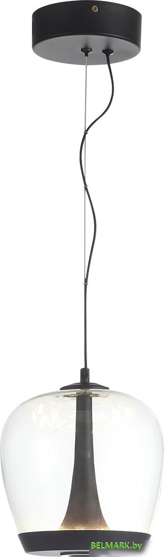 Припотолочная люстра ST Luce SL6014.423.01 - фото