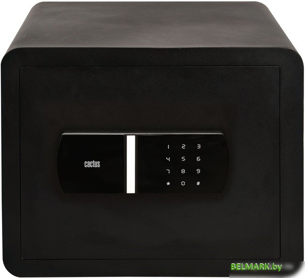 Мебельный сейф CACTUS CS-SF-T30 - фото