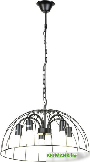 Подвесная люстра Lussole LSP-8216 - фото