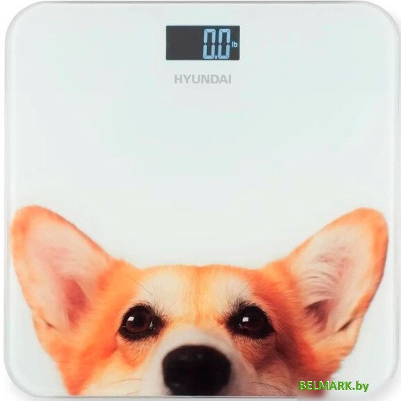 Напольные весы Hyundai H-BS03671 - фото