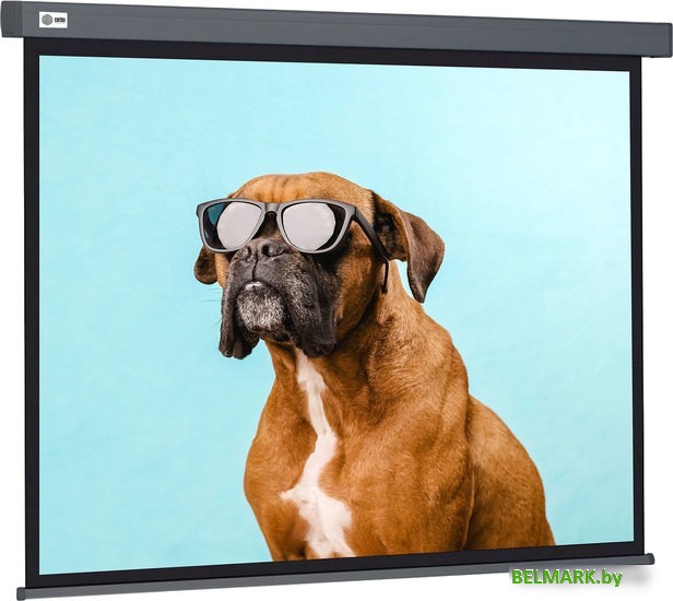 Проекционный экран CACTUS Wallscreen 149x265 CS-PSW-149X265-SG - фото
