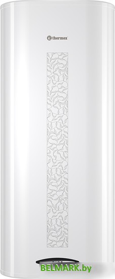 Накопительный электрический водонагреватель Thermex Dion 100 V - фото