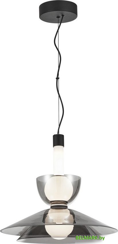 Подвесная люстра Aployt APL.772.16.12 - фото