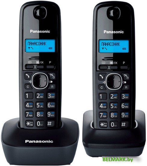 Радиотелефон Panasonic KX-TG1612RUH - фото